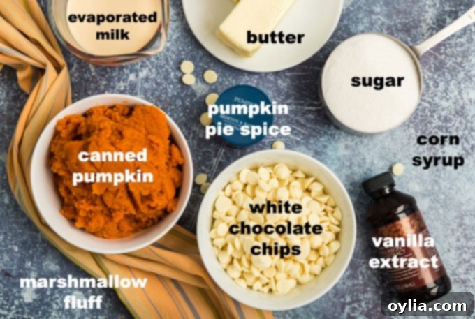 labeled ingredients for pumpkin pie fudge