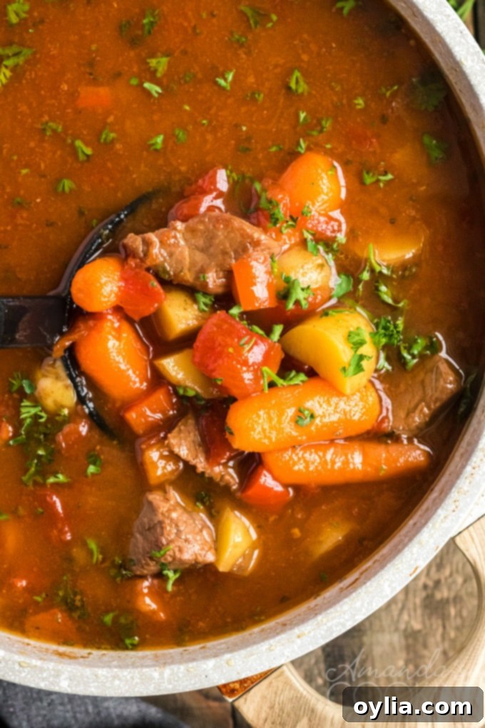 goulash stew in a pan