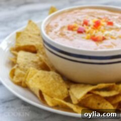 Effortless 3-Ingredient Chili Cheese Dip 2 A close-up of the delicious chili cheese dip, showcasing its creamy texture.