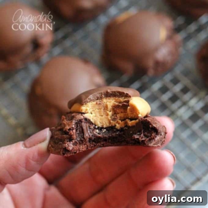 A close up photo of a hand holding a half eaten buckeye brownie cookie, showing the layers of brownie, peanut butter, and chocolate.