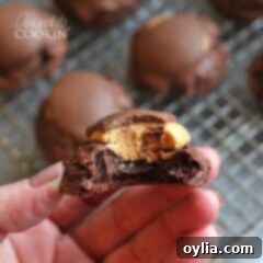 Decadent Buckeye Brownie Cookies 9 A close up photo of a hand holding a half eaten buckeye brownie cookie.