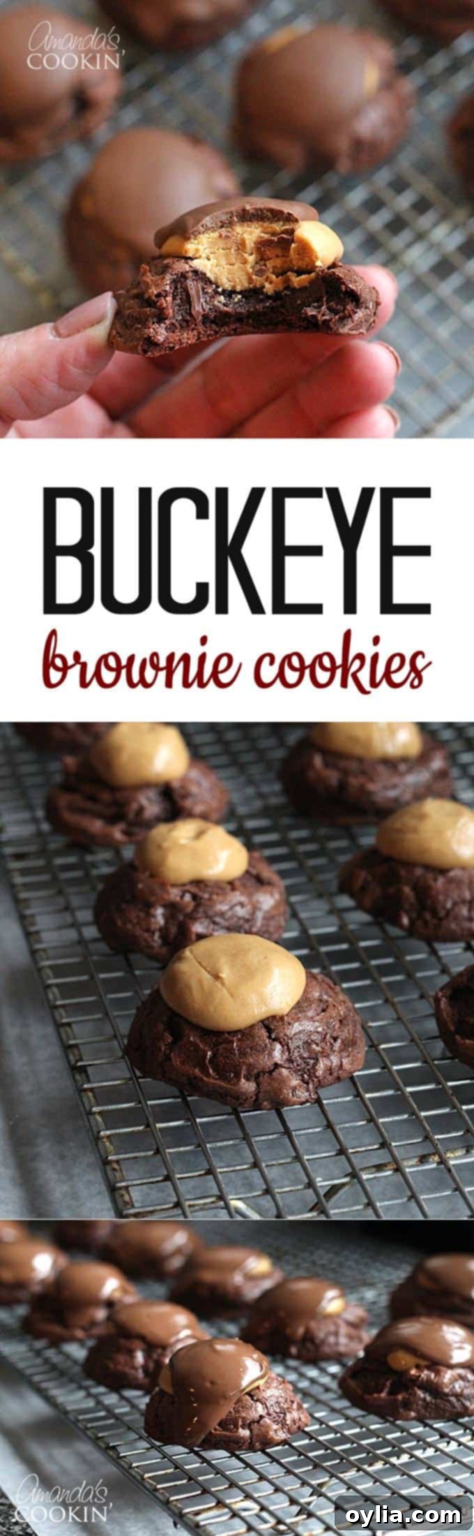 Decadent Buckeye Brownie Cookies 10 A collage of photos featuring buckeye brownie cookies, highlighting different angles and details of the delicious dessert.