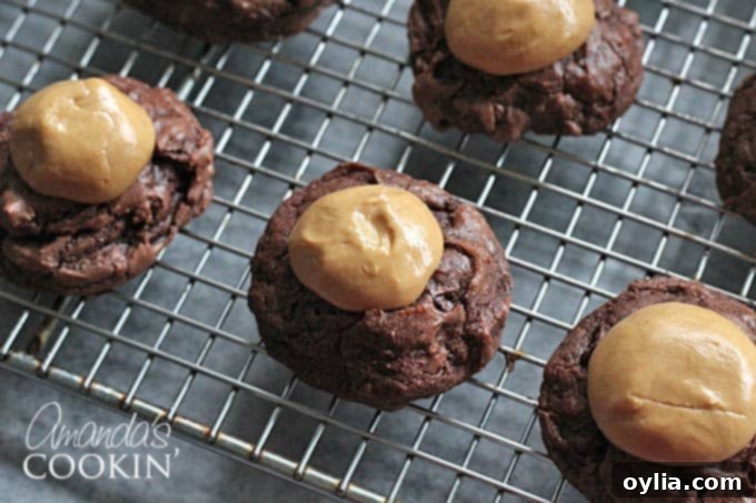 A close up photo of freshly baked buckeye brownie cookies on a cooling rack, showing their distinctive peanut butter centers and chocolate tops.