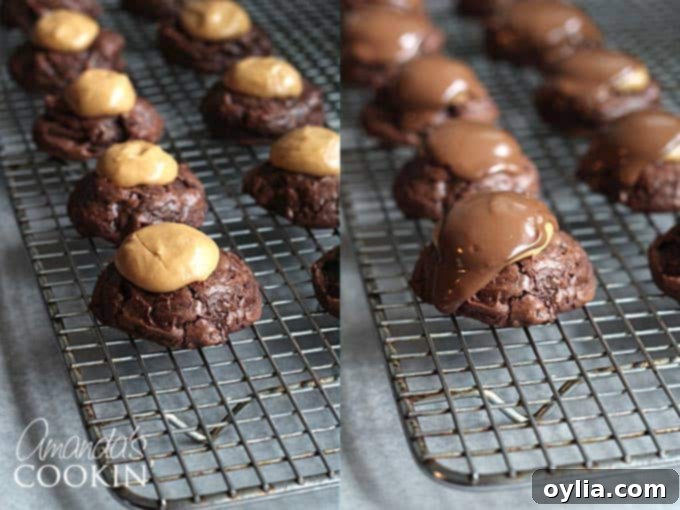 A photo of several buckeye brownie cookies resting on a wire cooling rack, showcasing their perfectly round shape and chocolate topping.