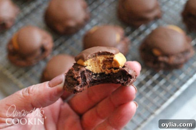 A close up photo of the underside of a buckeye brownie cookie, showing its chewy texture and a hint of the peanut butter filling.