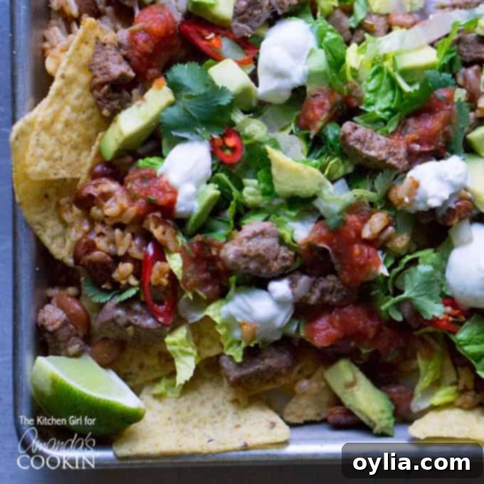 An overhead photo of filet mignon steak nachos.