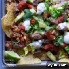 Gourmet Filet Mignon Nachos 5 An overhead photo of filet mignon steak nachos topped with beans, rice, lettuce, avocado, salsa, sour cream, and cilantro.