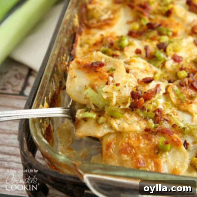 Creamy Bacon and Leek Potatoes Au Gratin 2 A close up of a spoonful of potatoes au gratin with bacon and leeks.