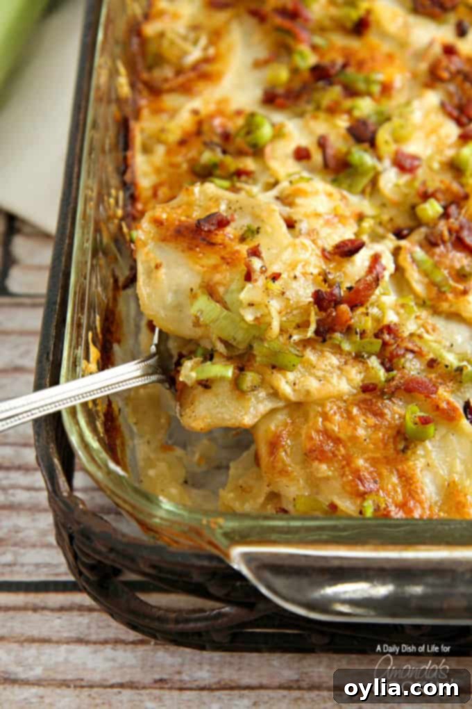 Creamy Bacon and Leek Potatoes Au Gratin 3 A close up of a spoonful of potatoes au gratin with bacon and leeks.