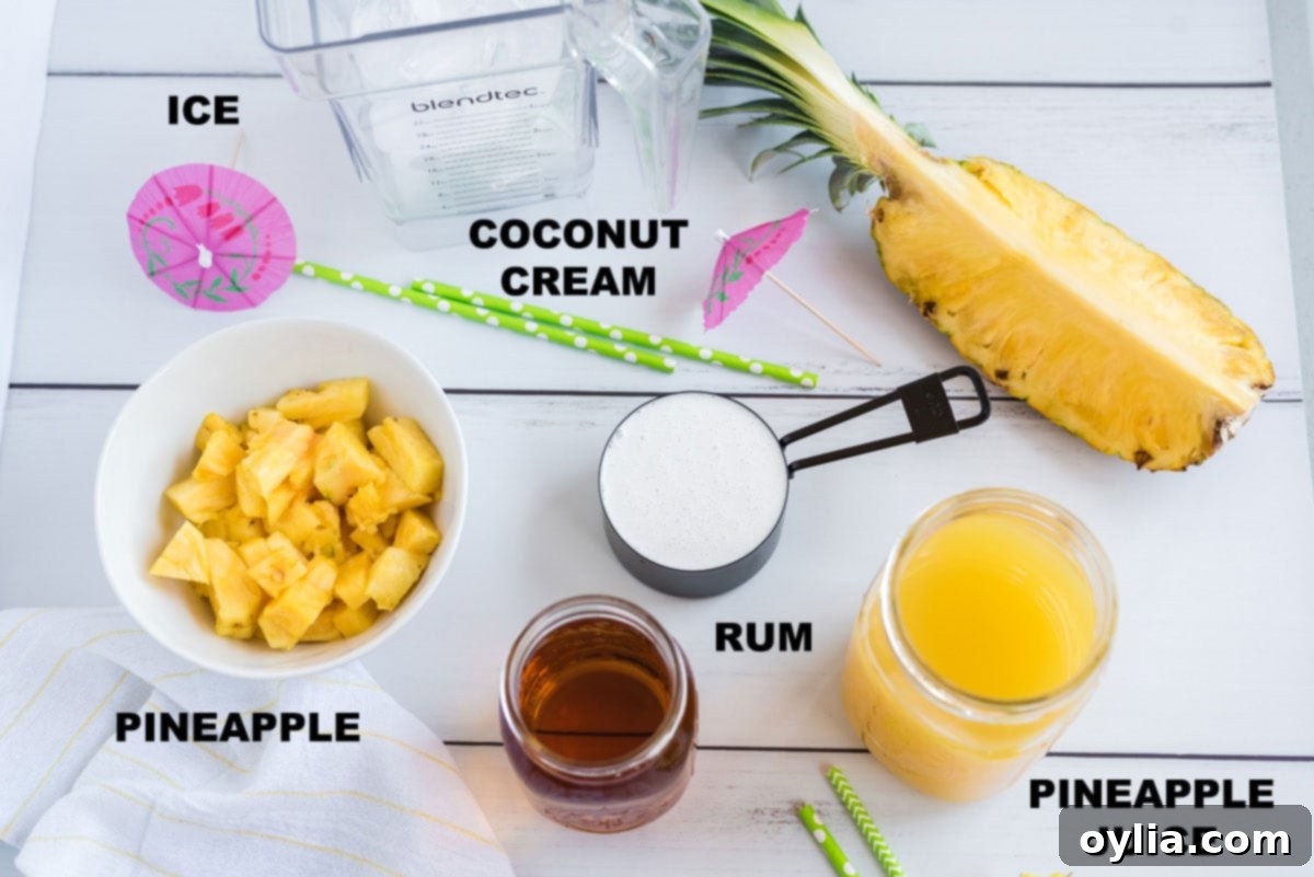 Labeled ingredients for a Pina Colada, including coconut cream, pineapple juice, rum, and fresh pineapple chunks.