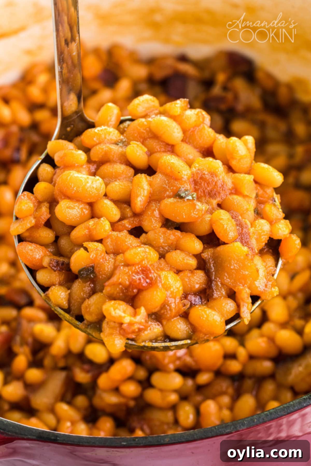 These homemade baked beans are baked in a delicious tangy sweet and savory sauce of brown sugar, maple syrup, ketchup, and apple cider vinegar. A ladle full of glistening homemade baked beans, showcasing their rich, dark sauce and tender texture.