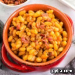 Perfectly Homemade Baked Beans 10 A delicious crock of homemade baked beans, rich and inviting.