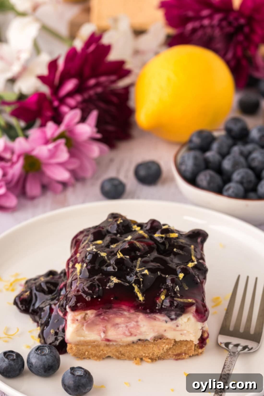 Close-up of a perfect slice of No Bake Blueberry Cheesecake on a white plate, garnished with lemon zest