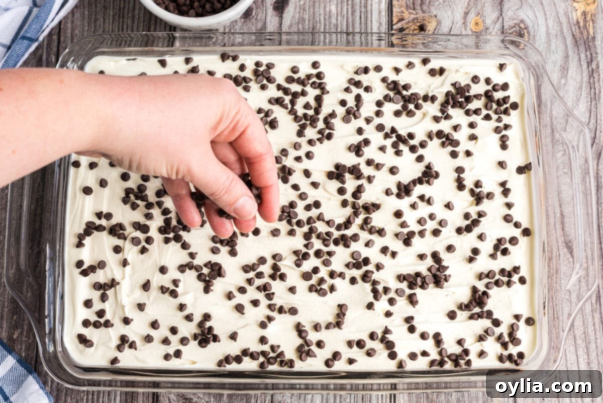 Decadent Chocolate Lasagna 14 sprinkling miniature chocolate chips over the whipped topping layer