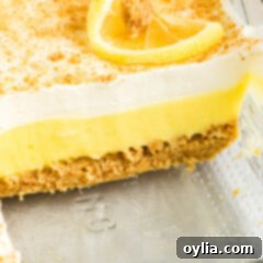slice of lemon cheesecake pudding dessert