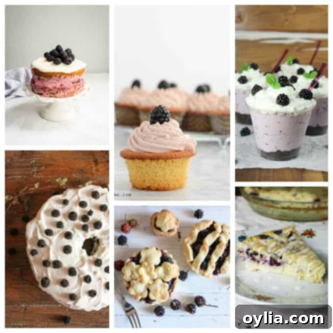 A collage of blackberry cakes and pies, including a naked cake, cupcakes, and mini pies.