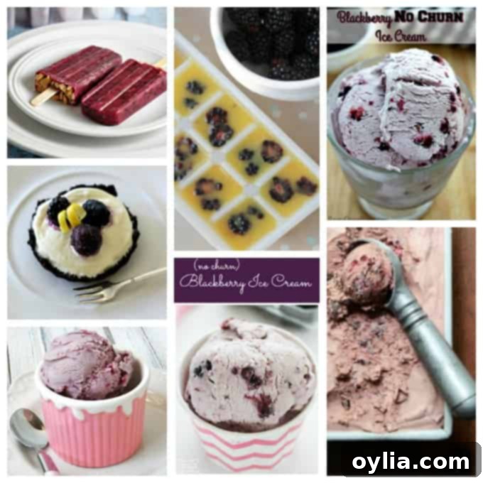 A collage of refreshing frozen blackberry desserts like popsicles and ice cream.
