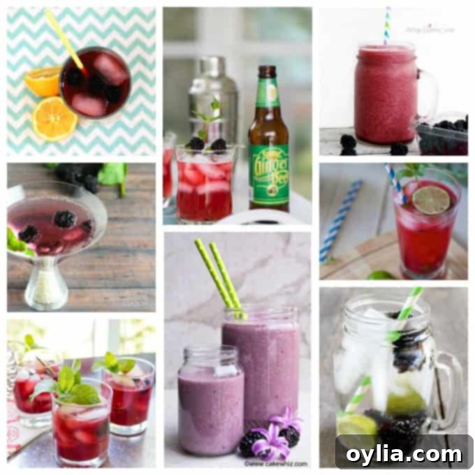 A collage of refreshing blackberry drink recipes, including lemonade, smoothies, and cocktails.