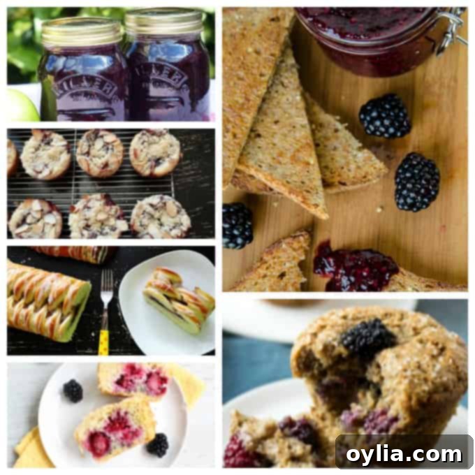 A collage of blackberry breakfast and spread recipes, including jams, muffins, and danishes.
