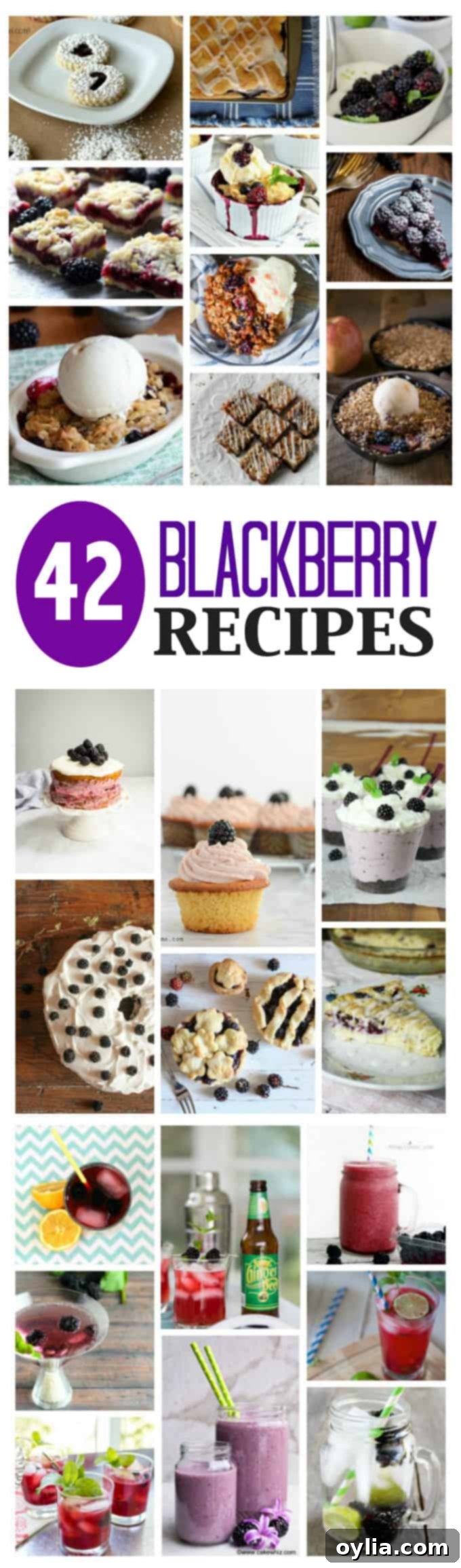 A tall pin-friendly collage of various blackberry recipes, suitable for Pinterest.