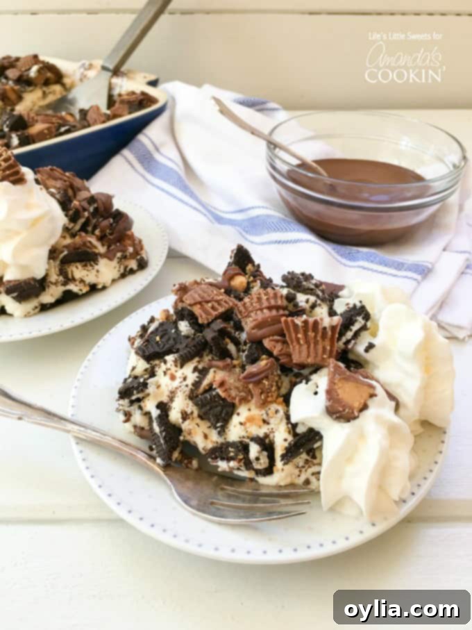 A close up of peanut butter cup oreo no bake cheesecake on a white plate, highlighting the delicious toppings.