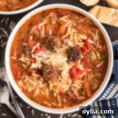 Hearty Sausage and Orzo Soup 12 Close up photo of a bowl of Italian Sausage Tomato Orzo Soup
