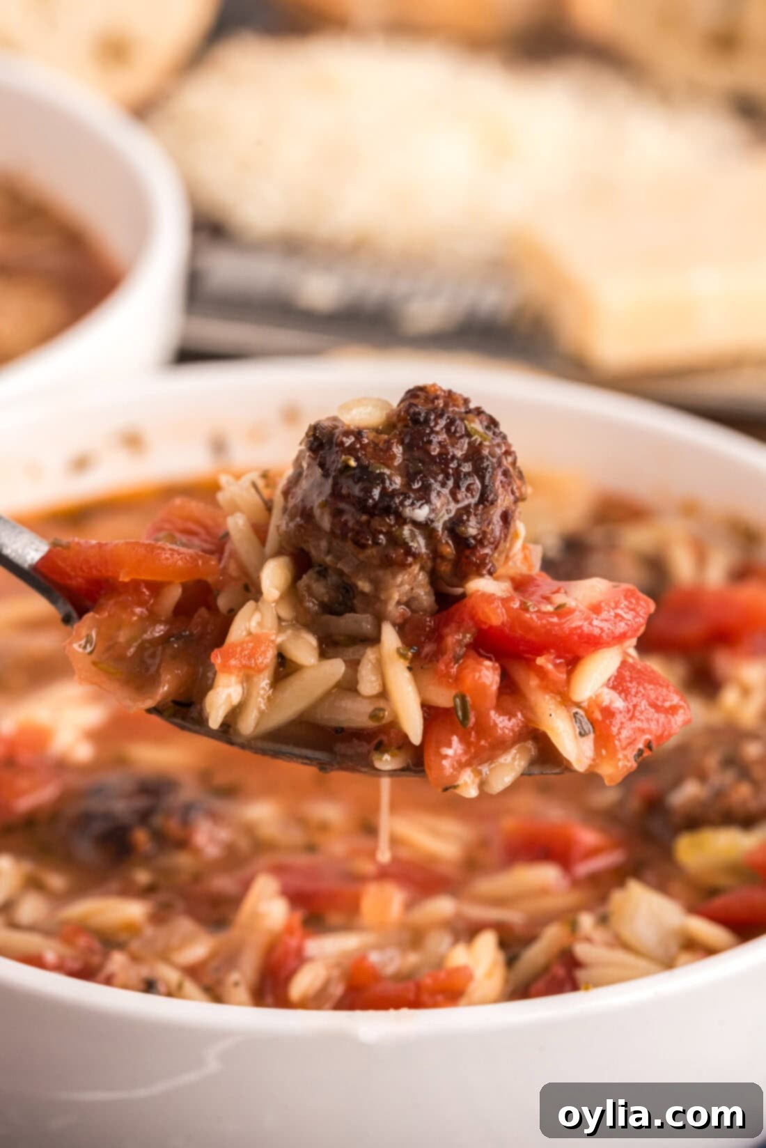 Hearty Sausage and Orzo Soup 3 Close up photo of a spoonful of Italian Sausage Tomato Orzo Soup
