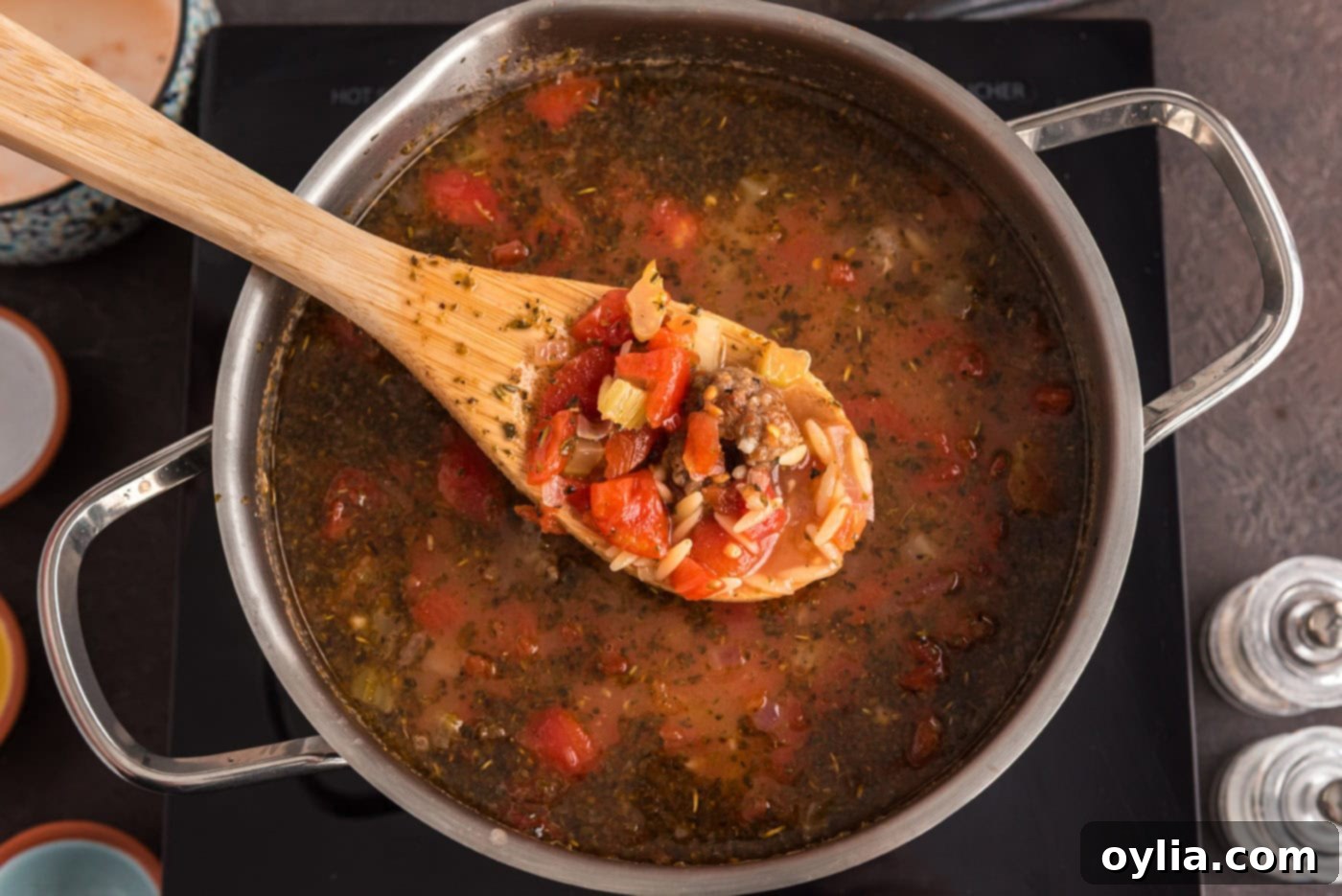 spoonful of sausage orzo soup