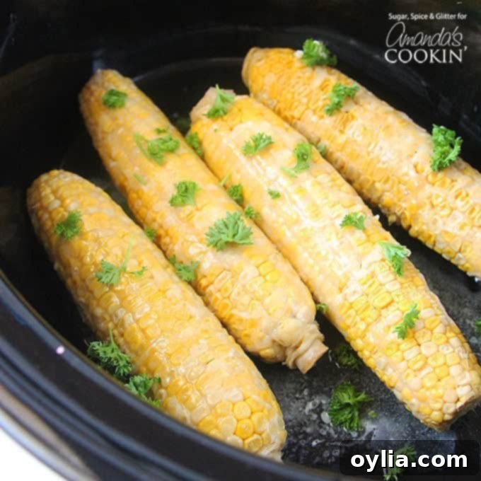 An overhead view of corn on the cob neatly arranged in a crockpot.