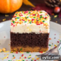 Close up photo of a piece of Chocolate Pumpkin Magic Cake showcasing the layers and sprinkles