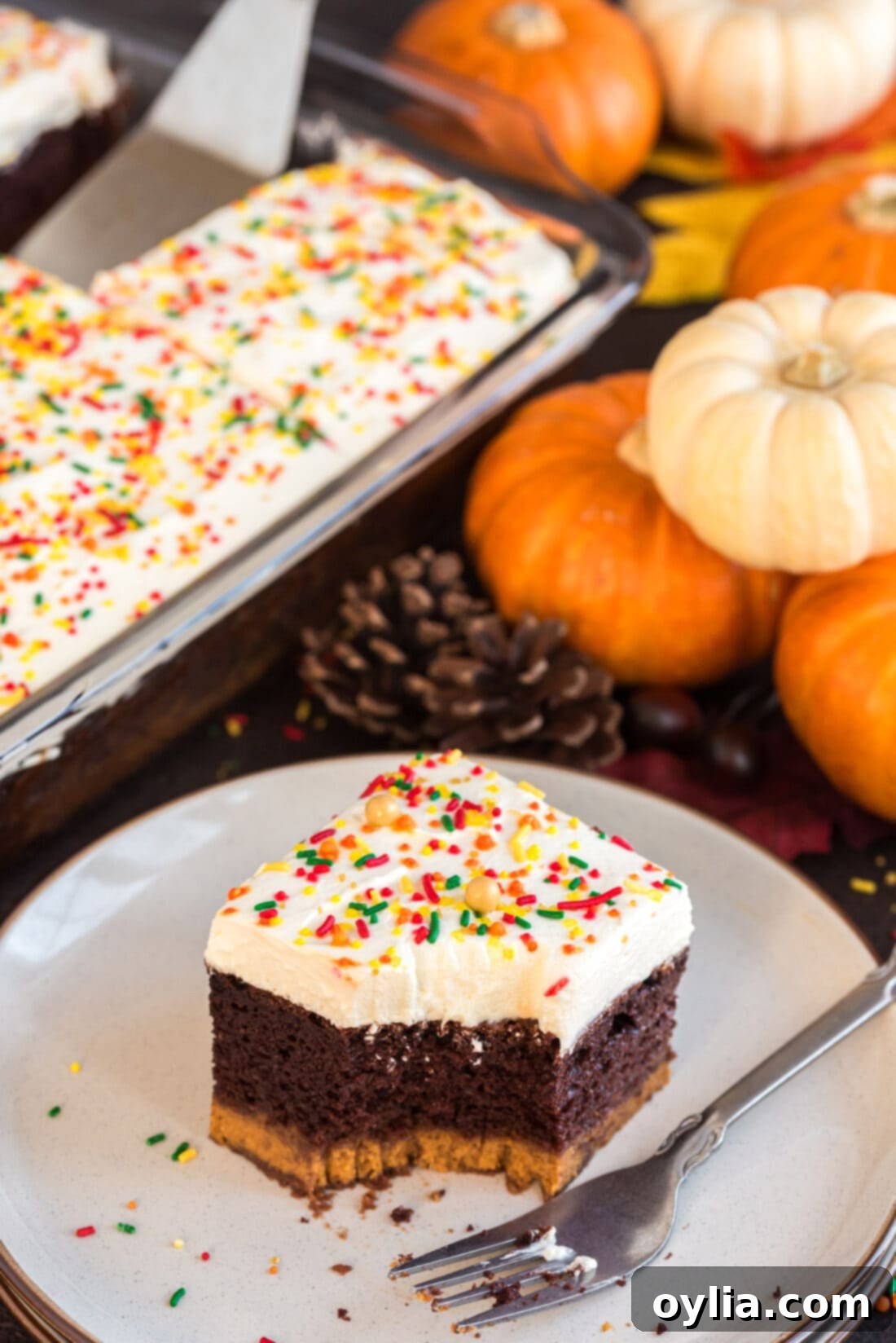 Piece of Chocolate Pumpkin Magic Cake on a plate with a pan of cake in the background, showing the layered structure