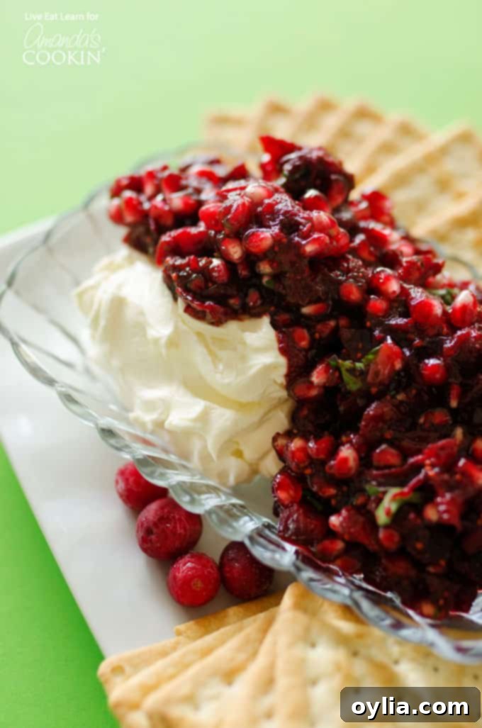 A close-up of vibrant cranberry salsa elegantly spooned over a block of cream cheese in a glass dish, ready to be served.