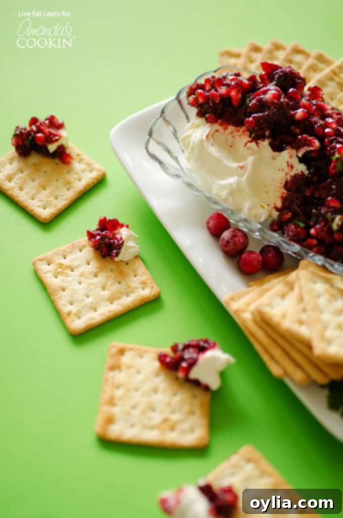 Festive cranberry salsa served over cream cheese, surrounded by crispy cracker squares on a stylish glass dish, ready for a holiday party.