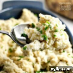 The Ultimate Brown Butter Mashed Potatoes 7 A close up picture of a spoonful of mashed potatoes, showcasing its creamy texture.