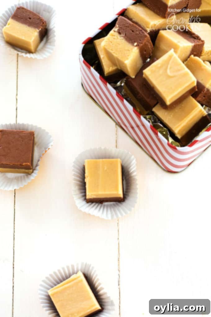 A metal tin filled with neatly cut squares of chocolate peanut butter fudge, ready for sharing or gifting.