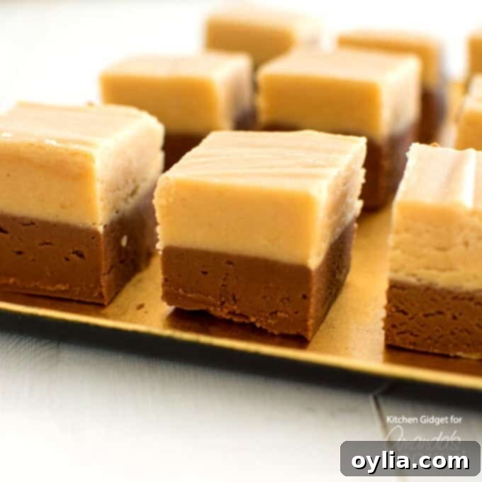 Close-up of a layered chocolate and peanut butter fudge square, showcasing the two distinct creamy layers.