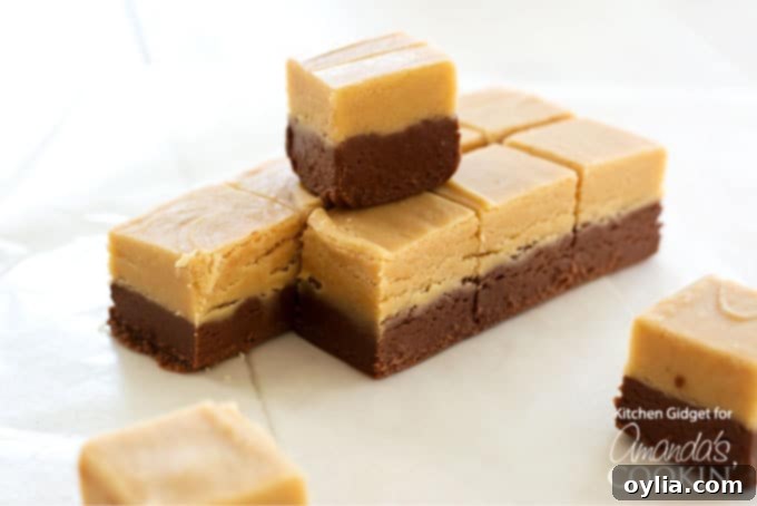 A perfectly stacked pile of chocolate peanut butter fudge squares, showcasing their dense, creamy texture and distinct layers.