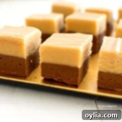A close up of chocolate peanut butter fudge squares.