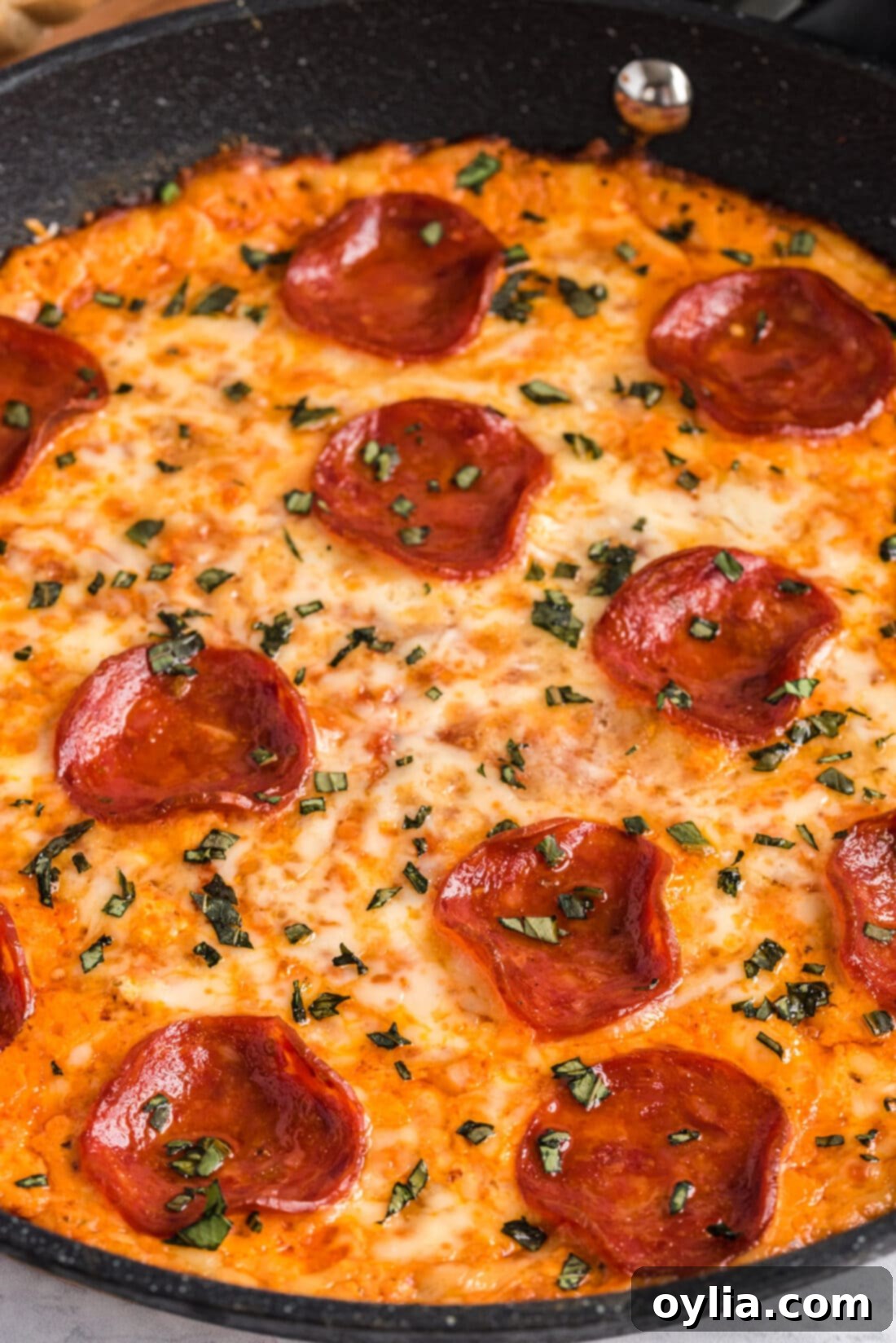 Ultimate Pizza Dip 9 close up of hot, bubbly pizza dip with a delicious golden cheese crust