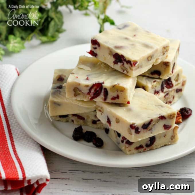 A festive holiday image featuring the recipe for white chocolate cranberry fudge, perfect for Christmas celebrations.
