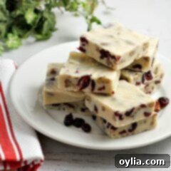 Close-up of a neatly cut square of White Chocolate Cranberry Fudge, showcasing its smooth texture and vibrant inclusions, resting on a white plate.