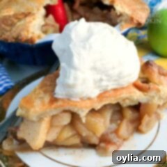 Grandma's Classic Apple Pie 9 Have a slice of delicious homemade apple pie you make from scratch!