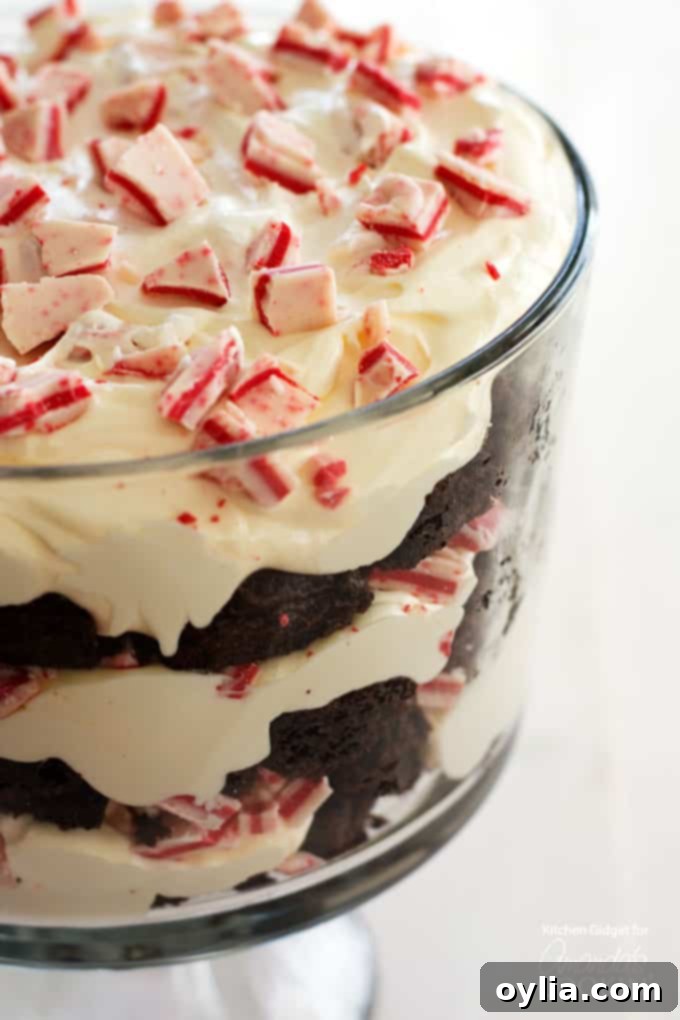 A close up photo of a chocolate peppermint trifle.
