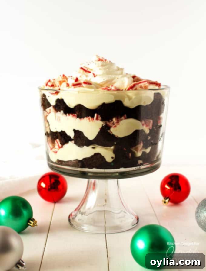 A photo of a chocolate peppermint trifle.