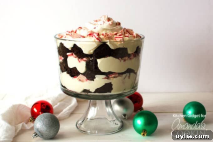 A photo of a chocolate peppermint trifle.