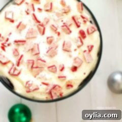 An overhead photo of a chocolate peppermint trifle.