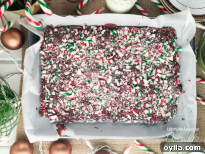Peppermint Candy Cane Bark