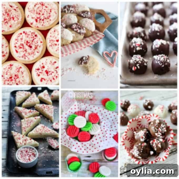 A collage of peppermint cookies and truffles, showcasing chocolate dipped, sugar, and oreo varieties.
