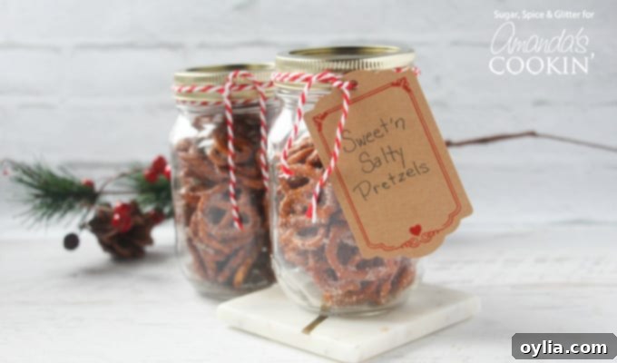 A festive display of sweet and salty pretzels in various jars, perfect for a fun and tasty gift.