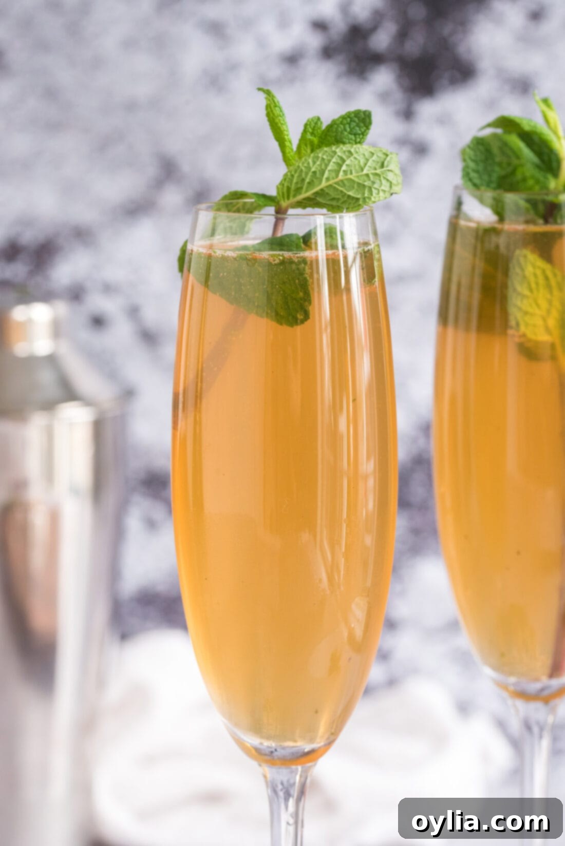 Close up photo of a Fizzy Julep